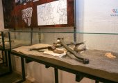 Museo archeologico nel Castello di Rozafa